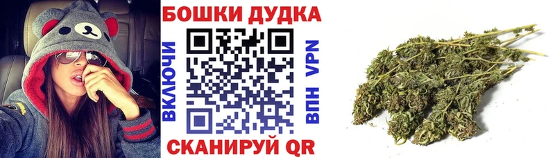Конопля планчик что такое наркотик kraken Бежецк